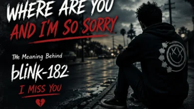 Where are you and I’m so sorry lyric meaning from Blink-182’s song I Miss You