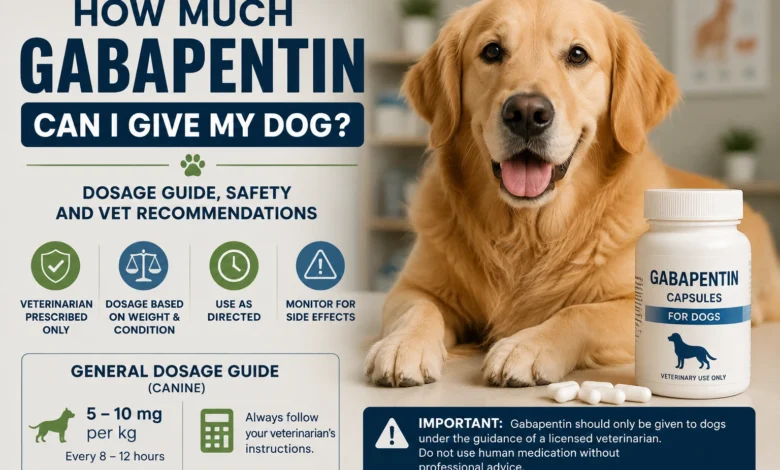 How Much Gabapentin Can I Give My Dog? Dosage Guide 1 Golden retriever beside gabapentin medication with veterinary dosage and safety guidance