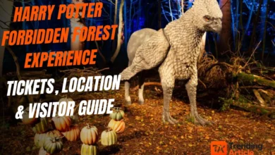 Harry Potter Forbidden Forest Experience guide with tickets, location, forest trail, magical creatures and visitor tips